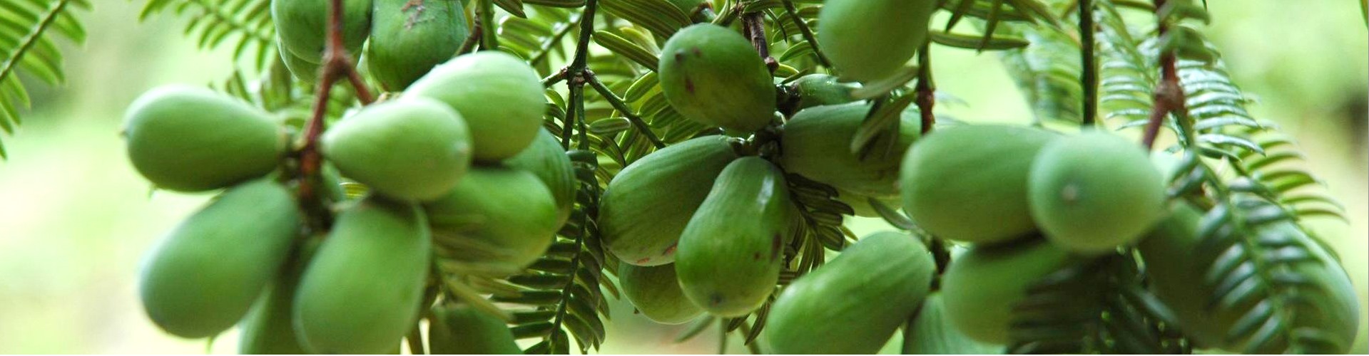 1513669902931207.jpg address_03.jpg