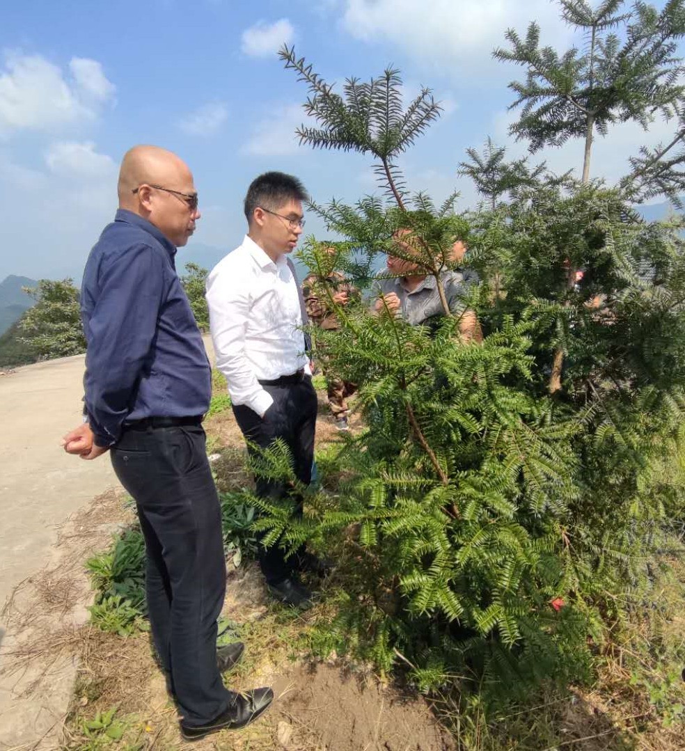 1604924498973361.jpg 1604924498973361.jpg