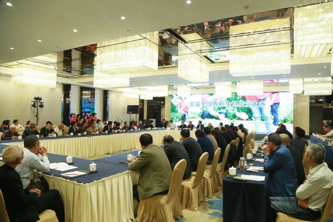 1604926228628671.jpg 1604926228628671.jpg