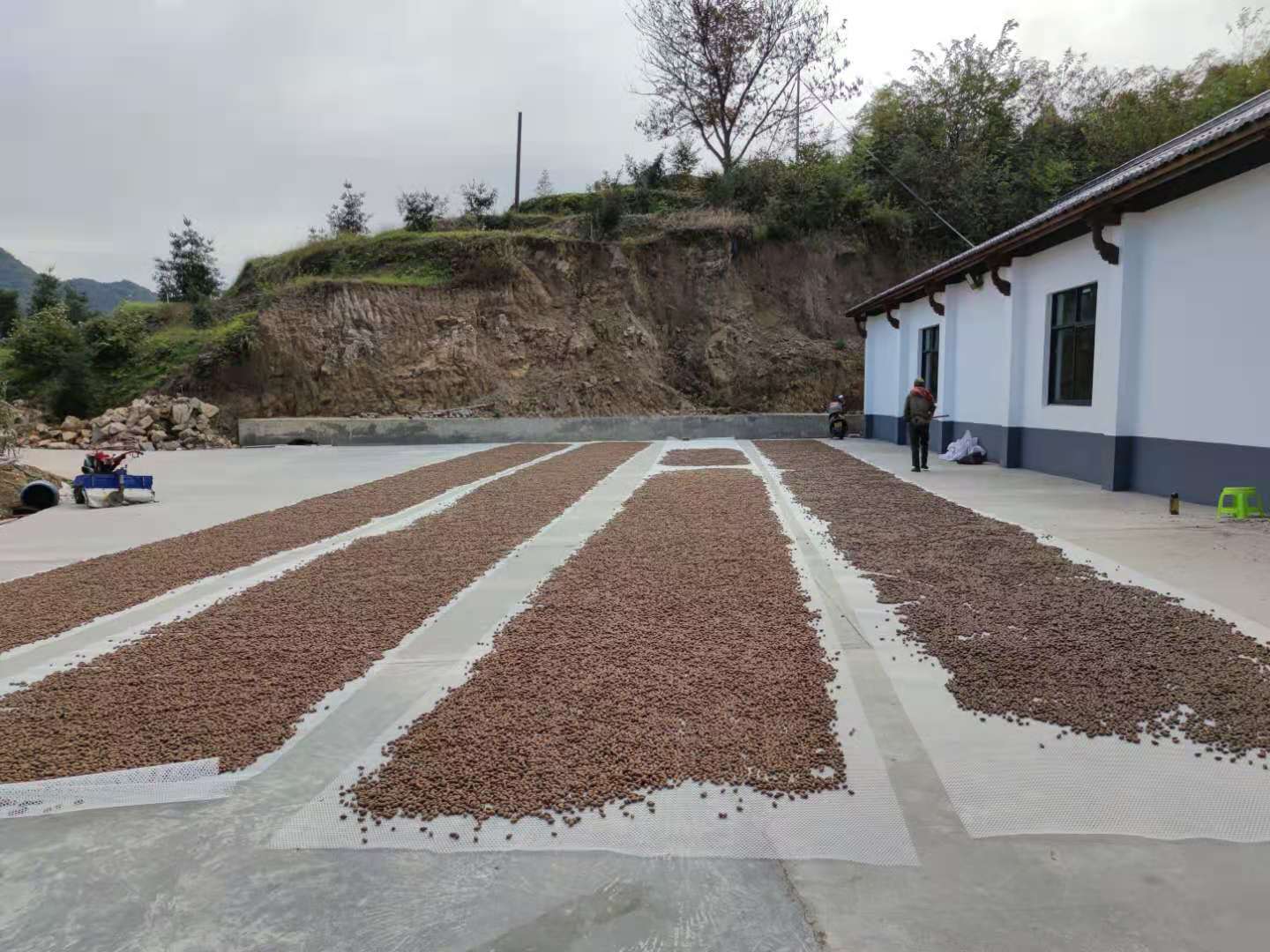 1605512926816200.jpg 1605512926816200.jpg