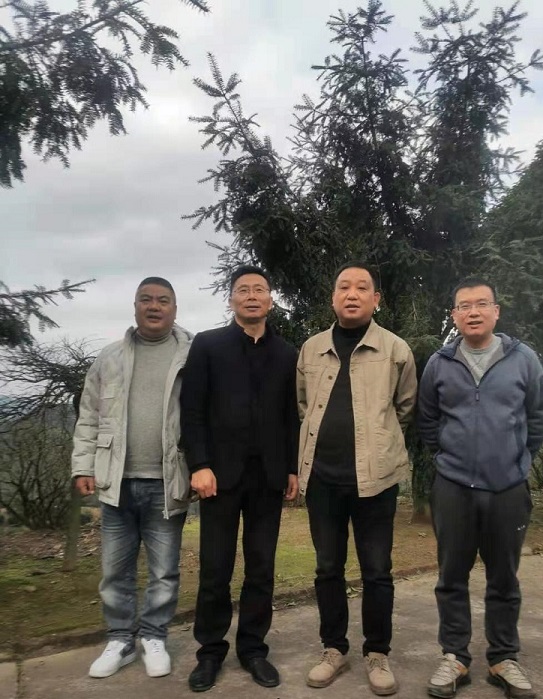 1615861299233261.jpg 1615856719527521.jpg