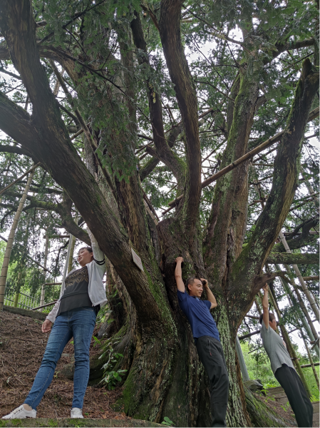 1623728591220733.png 3.png